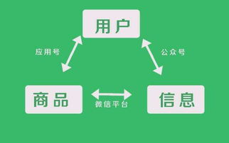 怎么弄小程序，小程序开发的关键步骤 